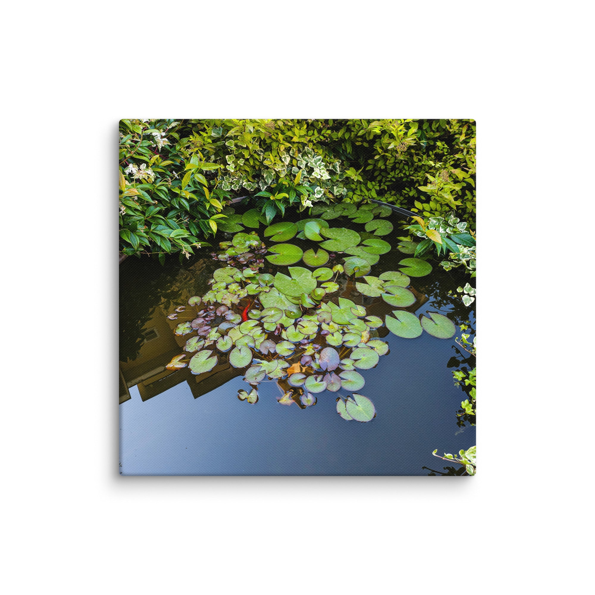 Canvas of a Pond and Lily Pads in Darfo Boario Terme Italy - Rosetta Creative Boutique
